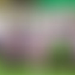 A. Honnoré (Seniors D3) : « Il faudra confirmer lors des 3-4 prochains matchs »