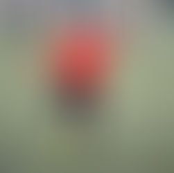 VACANCES. Le stage de perfectionnement en images