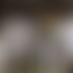 N2 - J15 : Les Lions sur un nuage à Bourg en Bresse !