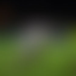 ✅ N2 (J19) : Un succès collectif