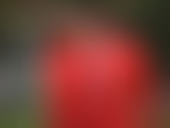 N2. Communiqué officiel