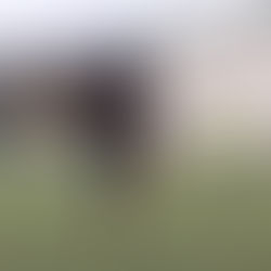 ✅ U16 R1 (J10) U. Gadegbeku : « On mûrit au fur et à mesure des matchs »