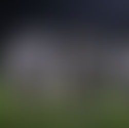 NATIONAL 2 : Le point après 14 journées !