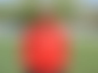 CLUB : Focus sur Ubi Gadegbeku (U16 R1)