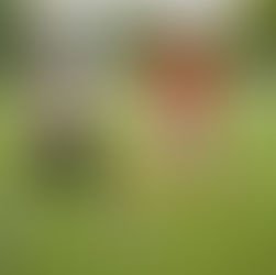 N2 - prépa : Un nul pour débuter !