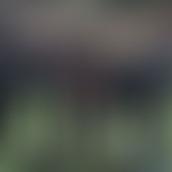 Préformation : Oscar AISSAT (U15) rejoindra Amiens