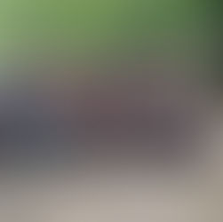 D1 Arkema : Fin du stage de cohésion