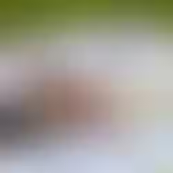 Outdoor Nation Blanket