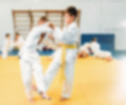 Matial Arts Training