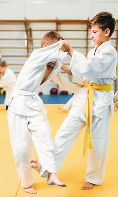 Matial Arts Training