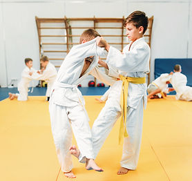Matial Arts Training