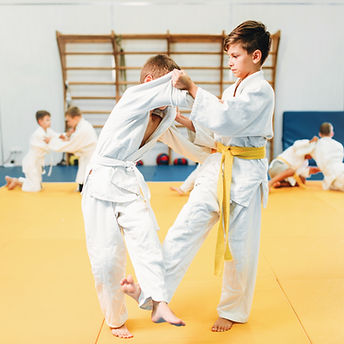 Matial Arts Training