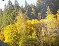 IMG-20191016-WA0029_edited.jpg