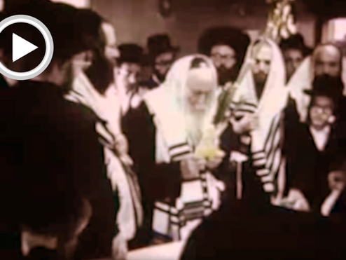 אויפדעקונג: עבודת הנענועים און הושענות פון הרה"ק מצאנז קלויזענבורג זי"ע | ווידיאו