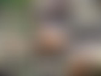 אויסגאבע טישל • פרשת משפטים