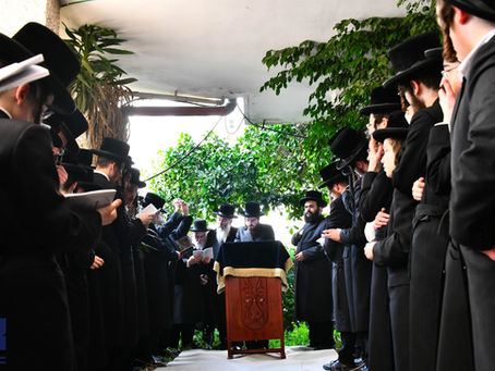 וְחָזֵי אִילָנֵי דְּקָא מְלַבְלְבִי • האד' מסאדיגורה ביי ברכת אילנות
