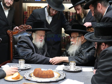 אַחִים אֲנָחְנוּ • האד' ממונאקטש באזוכט ביי אחיו האד' מדינוב