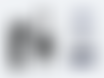 טעגליכע נייעס באריכט • מאנטאג נצבים-וילך תש"פ