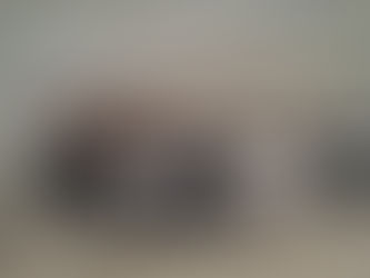 אסיפת רבנים פאררופן דורך האד' מוויען אמבאלאנגט דאס שיקן בחורים לערנען אין ארץ ישראל