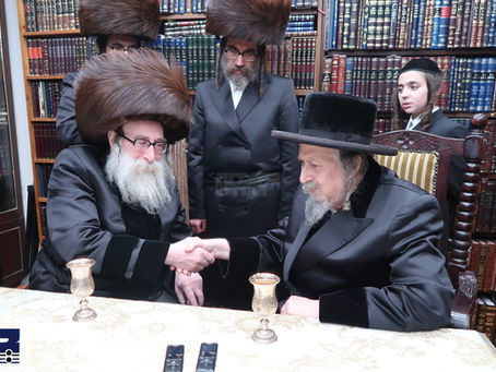 בארא פארק • האד' מתולדות צבי דספינקא באזוכט ביי האד' מסאקליע