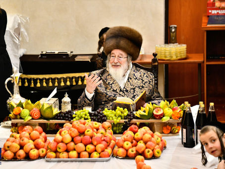ט"ו בשבט בחצר הקודש ספינקא | גאלעריע