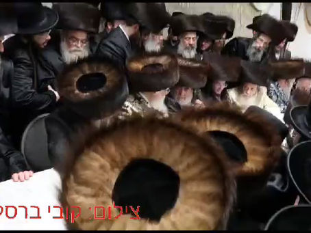 ווידיאו • האד' מוויז'ניץ ביים חתונה בבית שאץ וויז'ניץ - שומרי אמונים אשדוד
