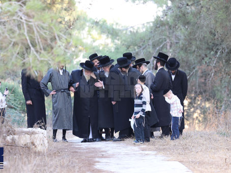 האד' מתולדות אברהם יצחק בנאות דשא אויף אפרוה אין הר יונה • בילדער גאלעריע