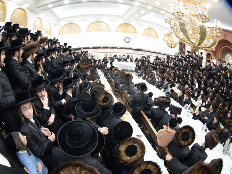 דִּבְרֵי הַפֻּרִים הָאֵלֶּה • יו"ט פורים אין קראלי הויף