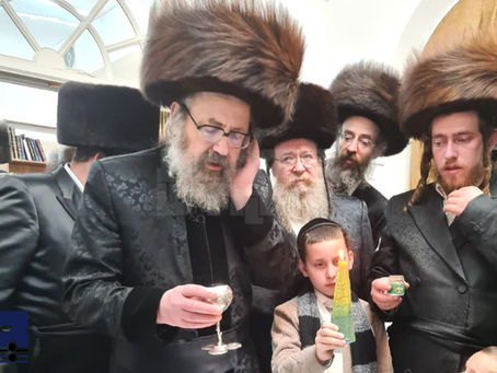 ווידיאו • האד' מוויז'ניץ לאנדאן ביי הבדלה במקום הנופש אין דאבוס שווייץ
