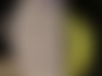 קרית וויז'ניץ • צוויי גאסן א נאמען געגעבן נאך אדמור"י וויז'ניץ