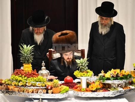 צִלְּךָ נָאֶה • ראש השנה לאילנות בחצר הקודש סאדיגורה