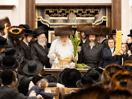 השבת נועם הנשמות • לעכטיגע שבת אפגעראכטן בצל האד' מתולדות אהרן אין שטאט מאנסי