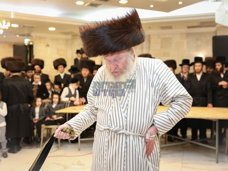 חסידים ואנשי מעשה מיטגעהאלטן חתונה הרוממה פון החתן נכד האד' מלעלוב מיט הכלה בת הגה"צ גאב"ד מירון