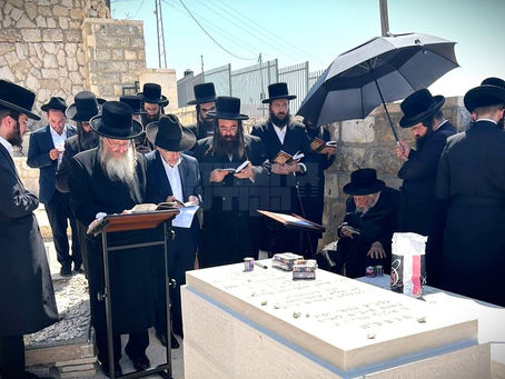 האד' מביאלא רעכט אפ ערשטע יארצייט פון בנו יקירו ז"ל | בילדער גאלעריע