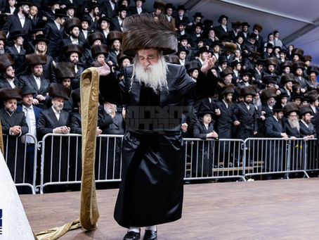 גרויסער חתונה בחצר הקודש קראלי געפראוועט אין שאטער הגדול הארט נעבן קראלי ביהמ"ד אין וויליאמסבורג