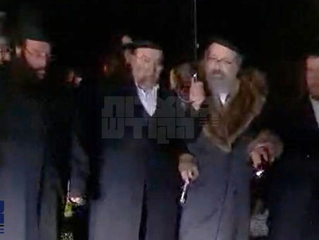 ווידיאו • האד' מוויז'ניץ לאנדאן אויף א שפאציר בנאות דשא אין שווייץ