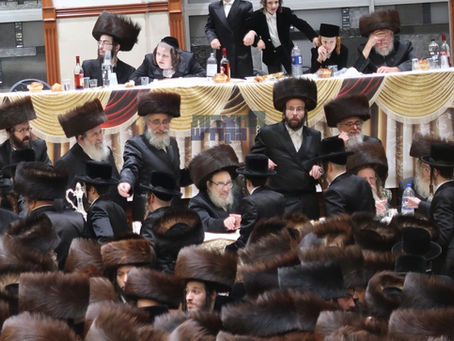 וחסידים ברינה יגילו • שיינע רעבישע חתונה פארגעקומען בחצר הקודש פאפא