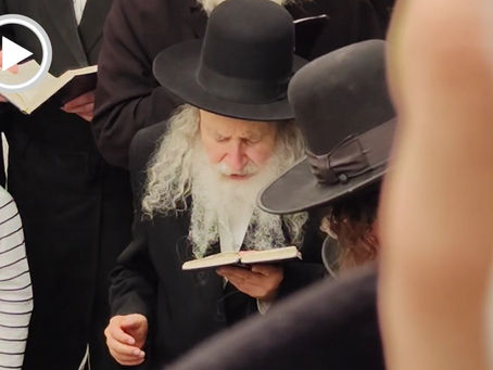 ווידיאו • האד' מאמשינוב איז מתפלל ביים ציון הק' פון זקינו הרה"ק רבי שמעון שלום מאמשינוב זי"ע אין טבריה