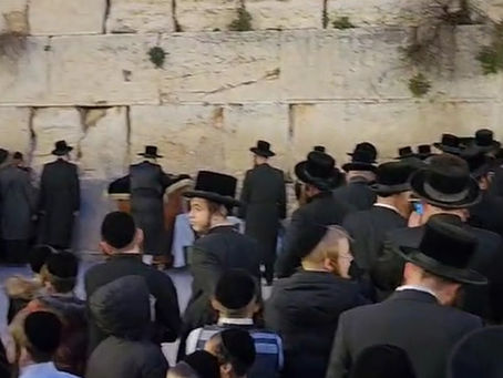 ווידיאו • האד' מבאבוב 45 ביים אנקומען צום כותל המערבי