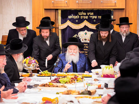 בַּמֶּה אֲבָרֶכְךָ • חמשה עשר בשבט בצל האד' מבאבוב במקום הנופש אין מיאמי פלארידא