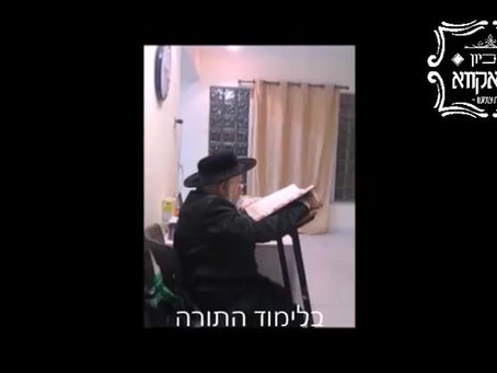 יומא דהילולא קדישא • האד' בעל 'דברי נפתלי' מטשאקאווא זצ"ל | ווידאו