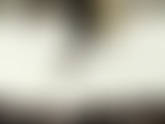 משתה היין בחצר הקודש וויז'ניץ