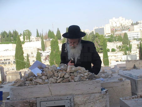 האד' מאמשינוב ביים ציון זקינו הרה"ק רבי מאיר מאמשינוב זי"ע אין דריי טעג פון די הילולא