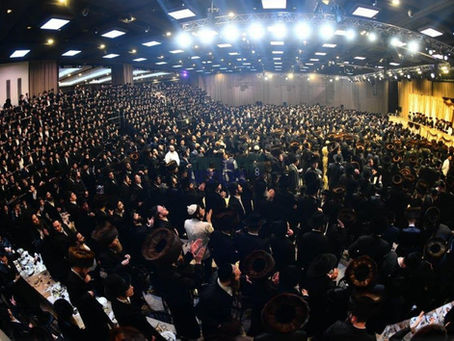 טויזענטער חסידים ואנשי מעשה מיטגעפרייט ביי החתונה הגדולה בבית תורת חכם - אשלג | ברייטע דעקונג