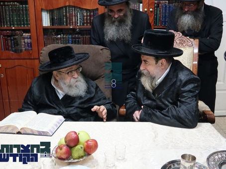 האד' מרחמיסטריווקא באזוכט ביי האד' מפאריסוב | בילדער