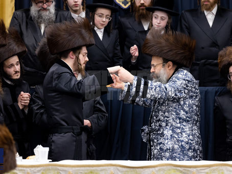 וצדיקים ישמחו ויעלצו: האד' מסאדיגורא קומט צו פארן צו חתונה הגדולה בחצר באבוב-45