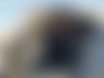 האד' מגור קערט זיך צוריק קיין ארץ ישראל | גאלעריע