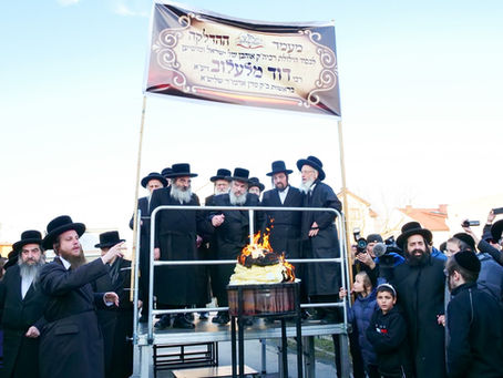 מאסן צוזאמענפאר פון הונדערטער חסידים צום הילולא קדישא ז' שבט אין לעלוב - פולין | ברייטע דעקונג