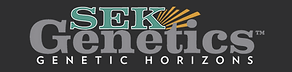 SEK Logo.png