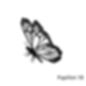 Miniature : Papillon